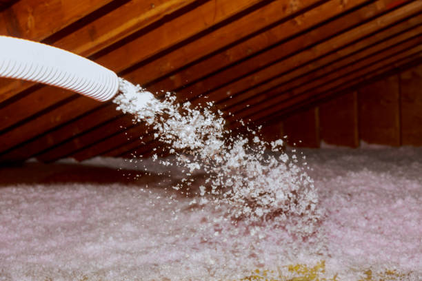 Best Types of Insulation in Lmyra, PA